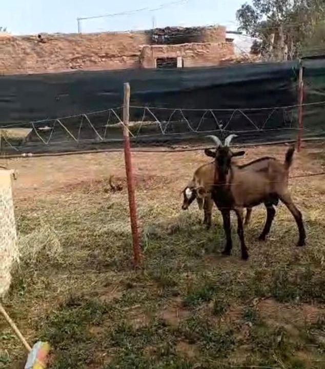 Photo of Others in Ahl Angad