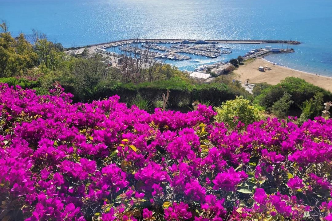 Photo of Others in Sidi Bou Said