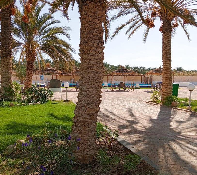 Photo of Others in Al-Qalah