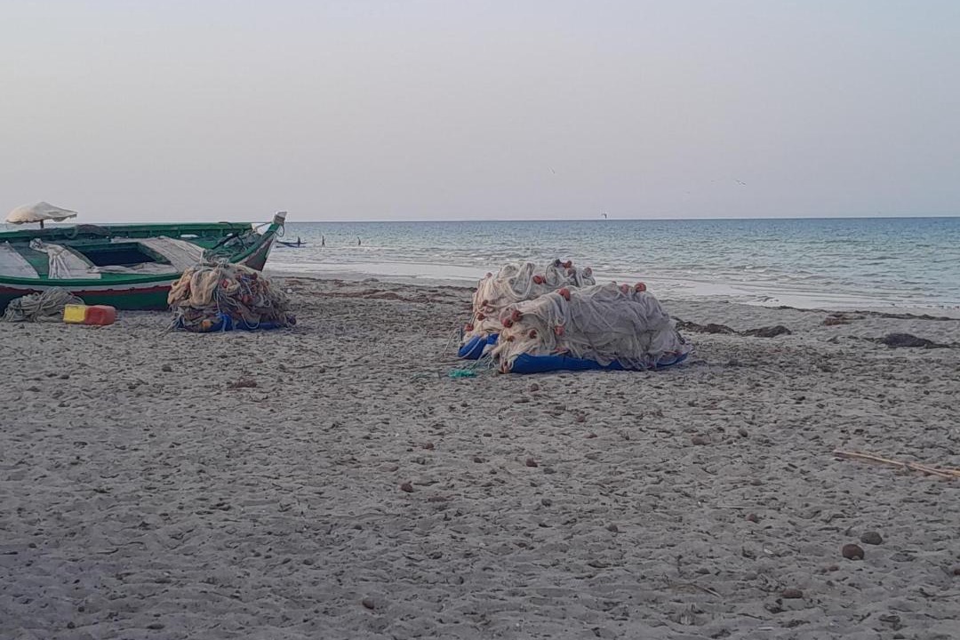 Photo of Others in El Metouia