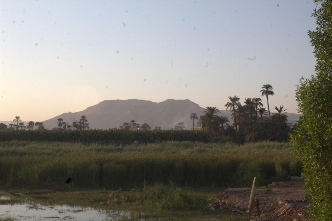 Photo of Others in Luxor