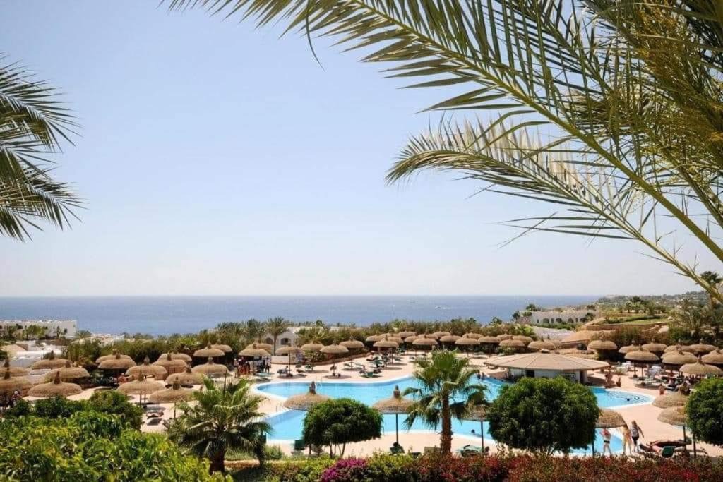 Photo of Others in Sharm El Sheikh
