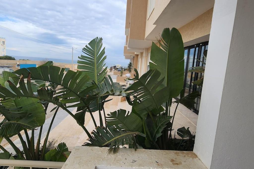 Photo of Patio Balcony in Chott Mariem