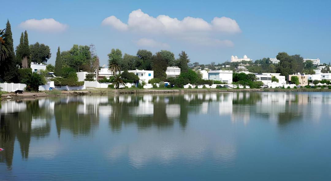 Photo of Others in Amilcar