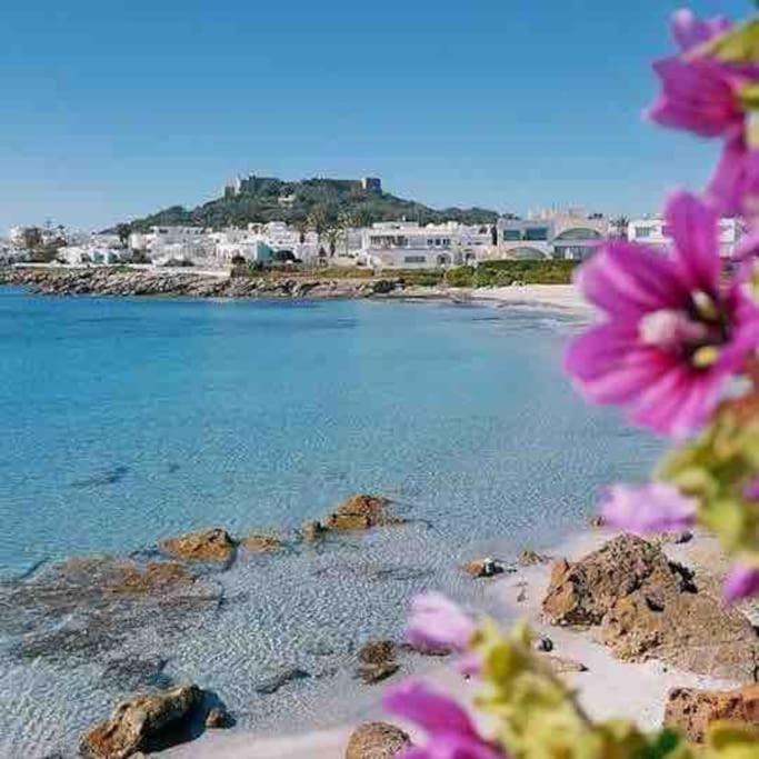Photo of Others in Kelibia