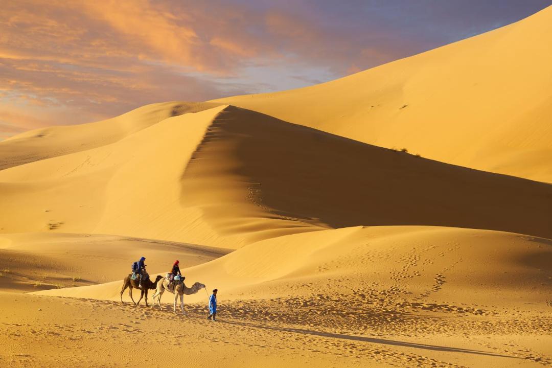 Photo of Others in Merzouga