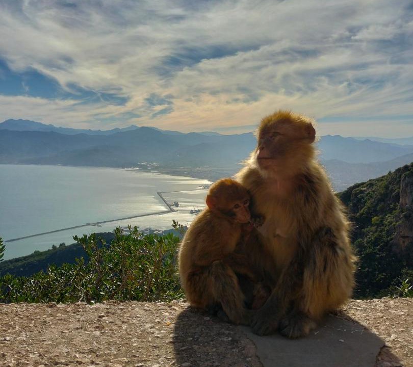 Photo of Others in Bejaia