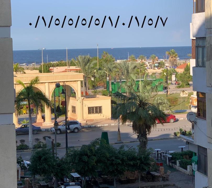 Photo of Others in Port Said