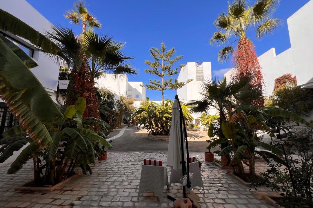 Photo of Others in Hammamet