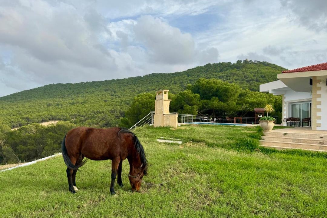 Photo of Others in Zaghouan