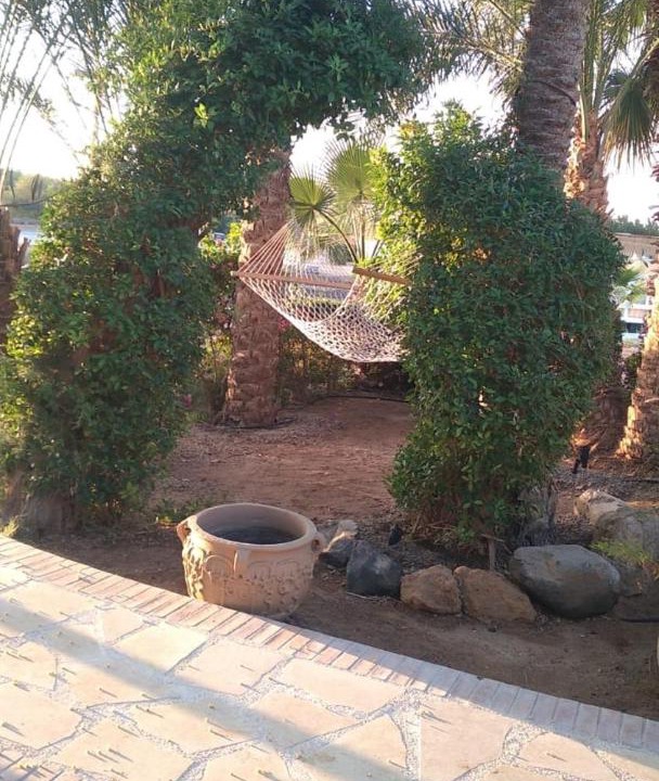 Photo of Others in El Gouna