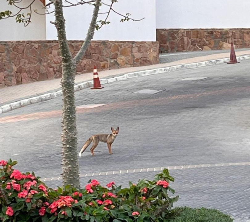 Photo of Others in Sahl Hasheeh