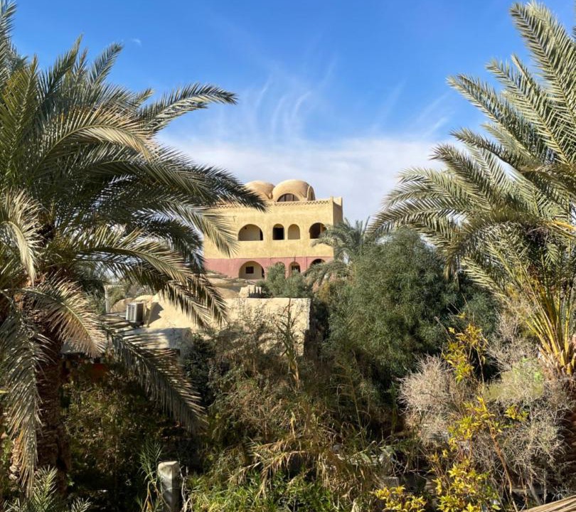 Photo of Others in Al Bawiti