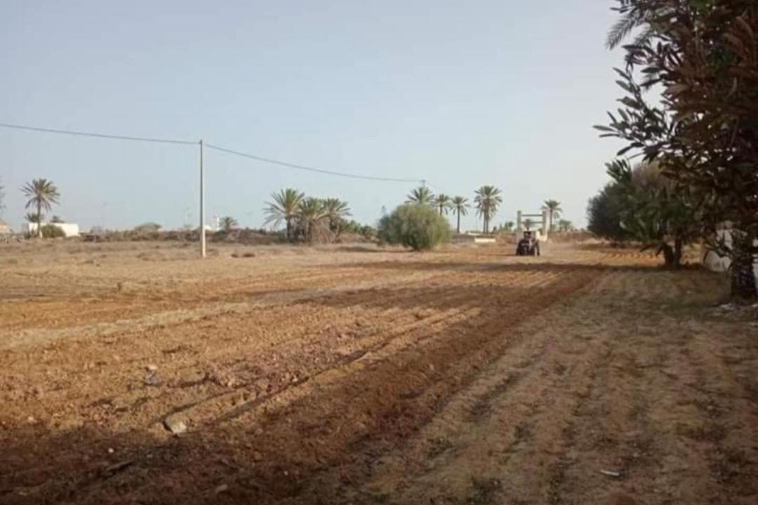 Photo of Others in Hawmat al Badawiyin