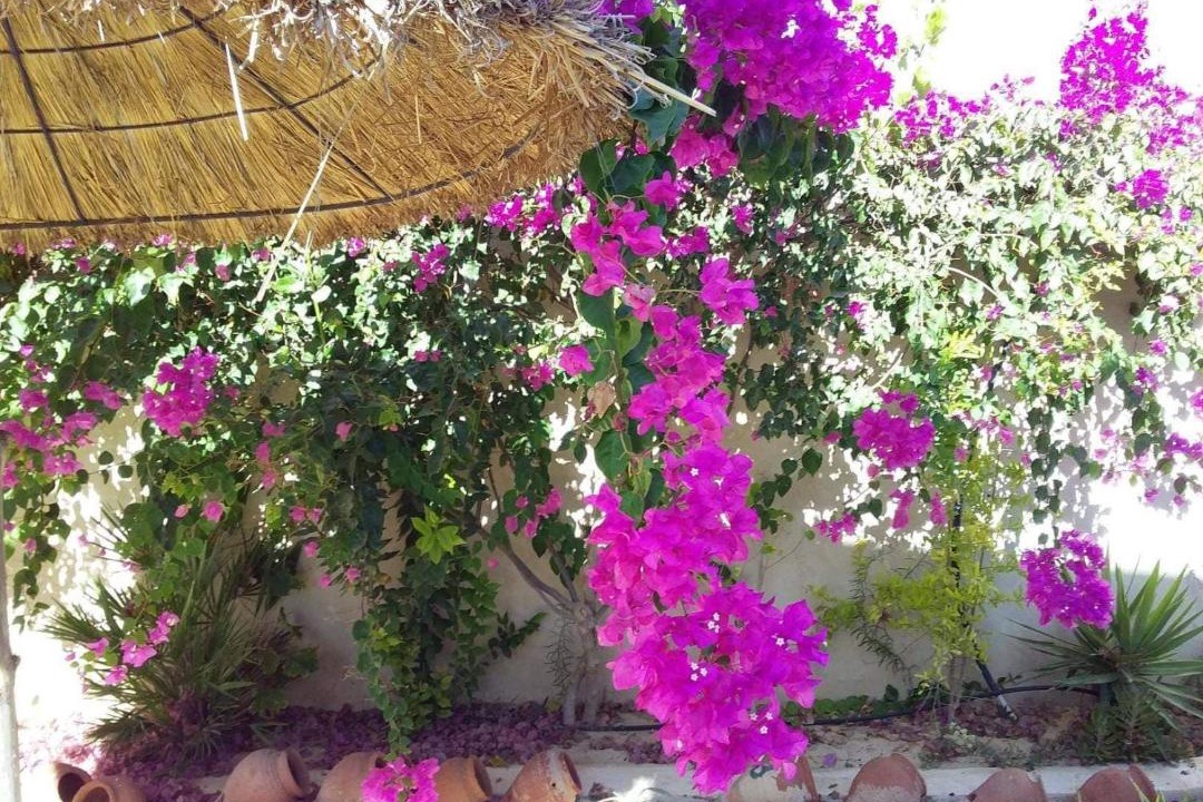 Photo of Others in Houmt Souk