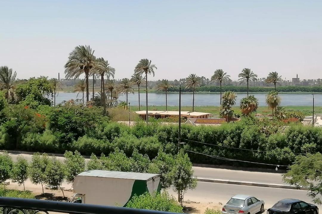 Photo of Others in Helwan