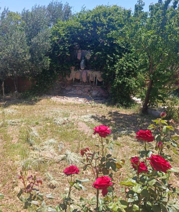 Photo of Outdoor in Ghassate