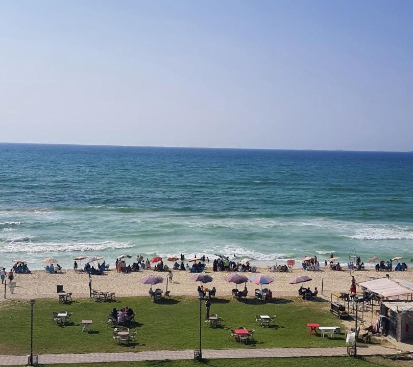 Photo of Others in Alexandria