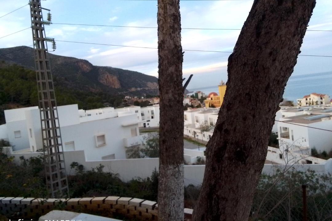 Photo of Others in Chenoua