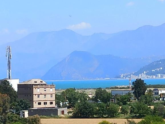 Photo of Others in Bejaia