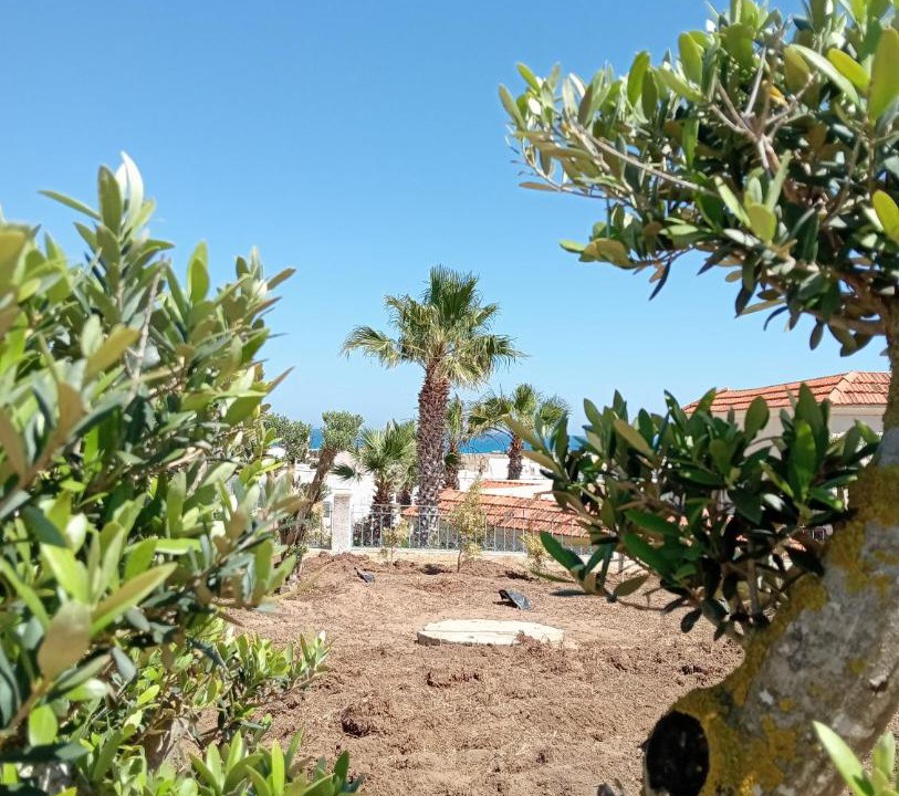Photo of Others in El Haouaria