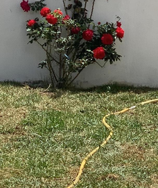 Photo of Outdoor in Hammamet