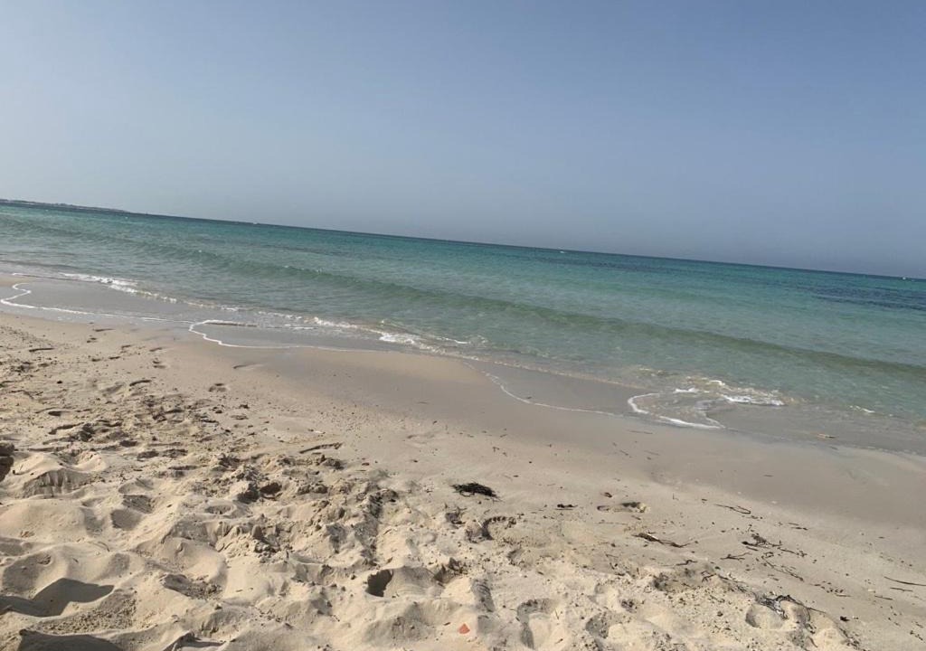 Photo of Others in Hammamet