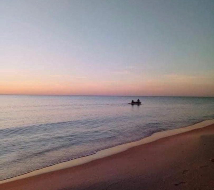 Photo of Others in Hammamet