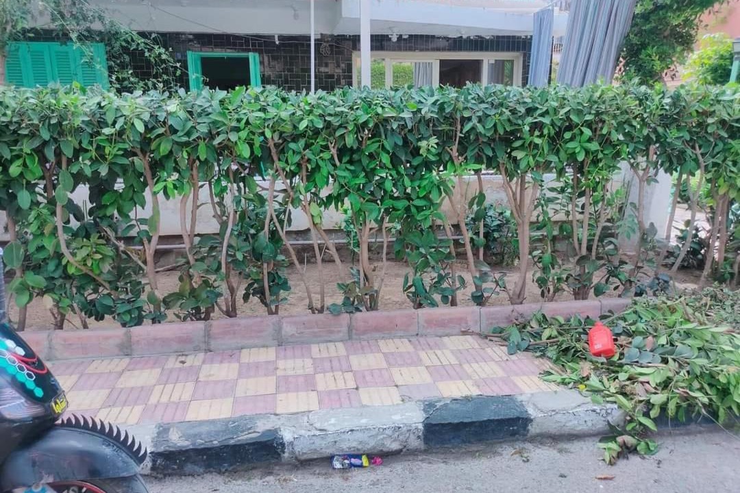 Photo of Outdoor in Al-Muntazah