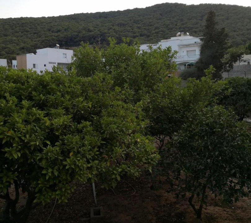 Photo of Others in Bizerte