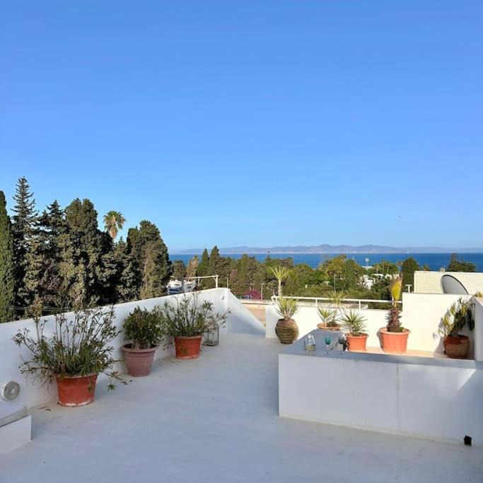 Photo of Patio Balcony in Amilcar