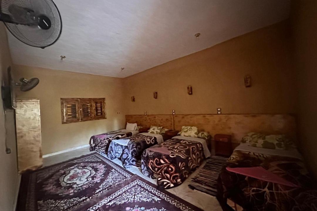 Photo of Others in Siwa