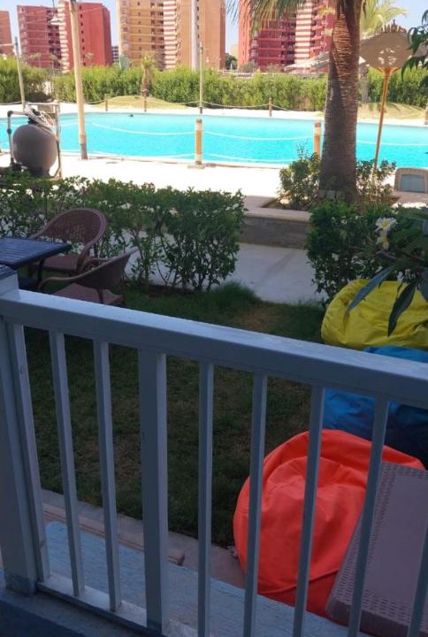 Photo of Others in El Alamein