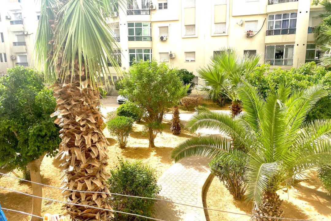 Photo of Others in Ain Zaghouan