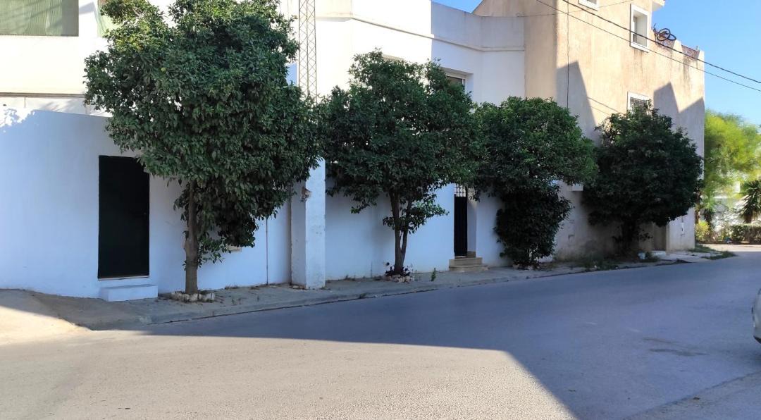 Photo of Others in La Marsa