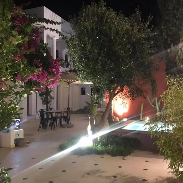 Photo of Others in Kelibia