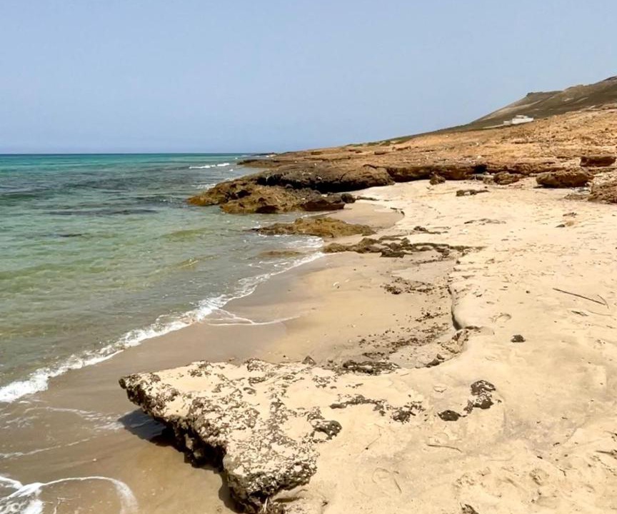Photo of Others in Aousja