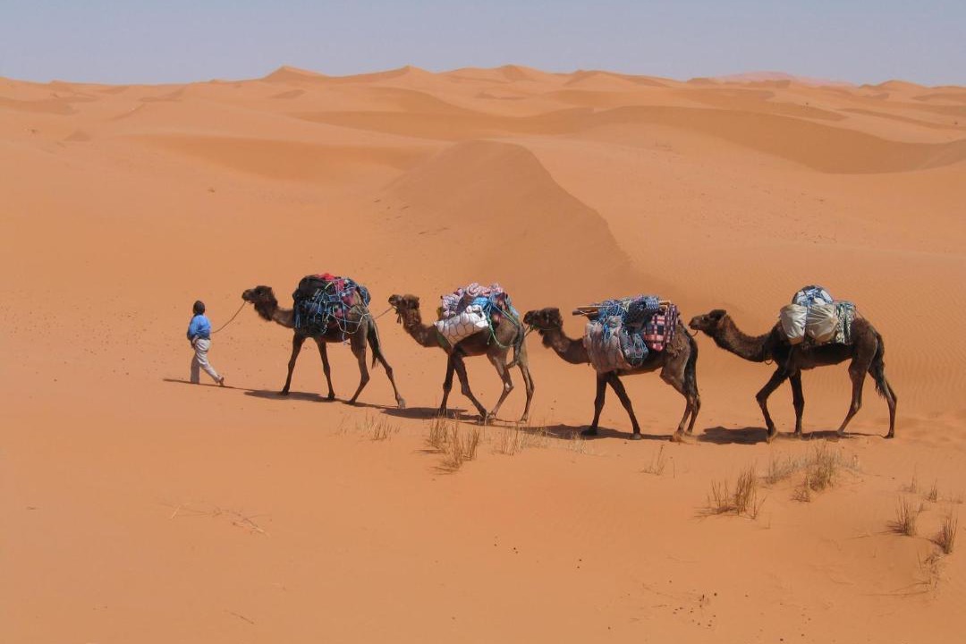 Photo of Others in Merzouga