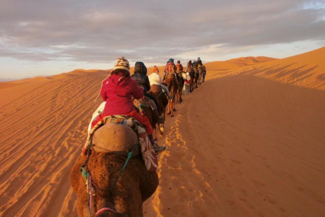 Photo of Others in Merzouga