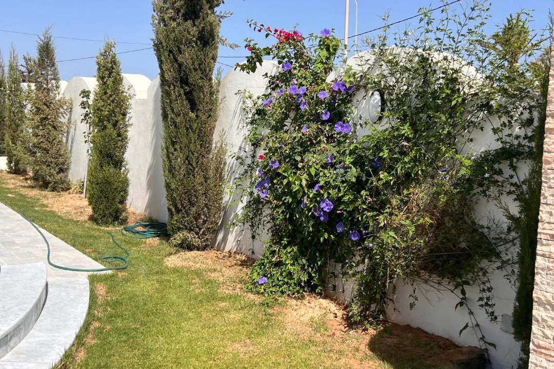 Photo of Others in Djerba Ajim