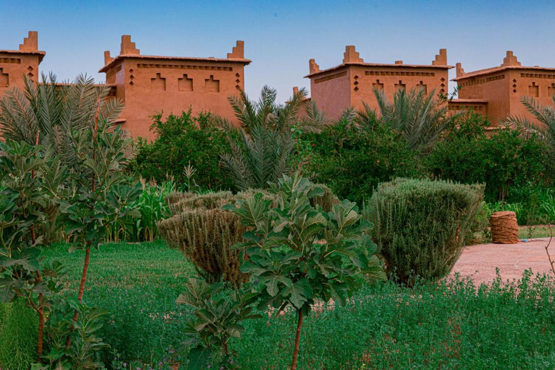 Photo of Others in Skoura