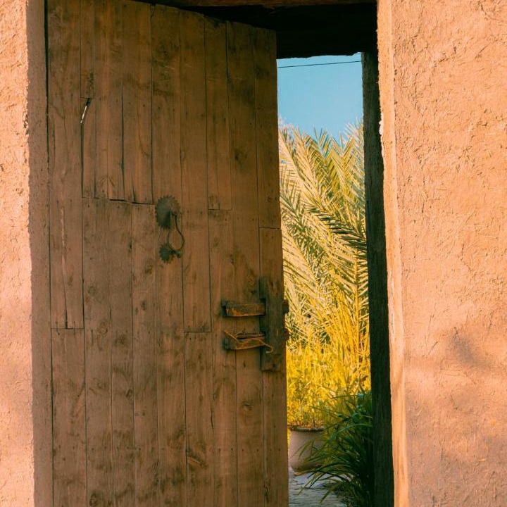 Photo of Others in Skoura