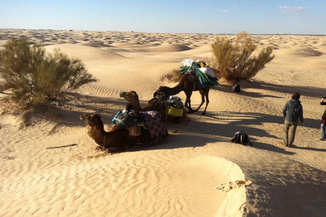 Photo of Others in Douz