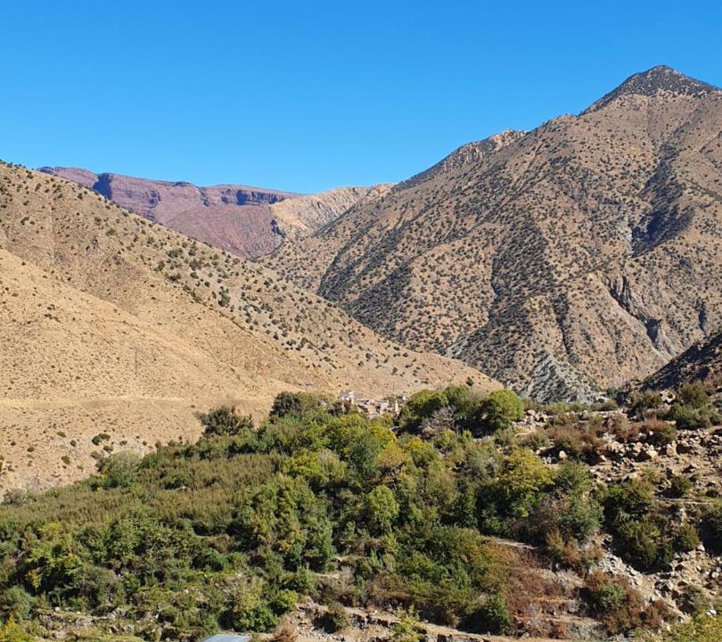 Photo of Others in Mouassine