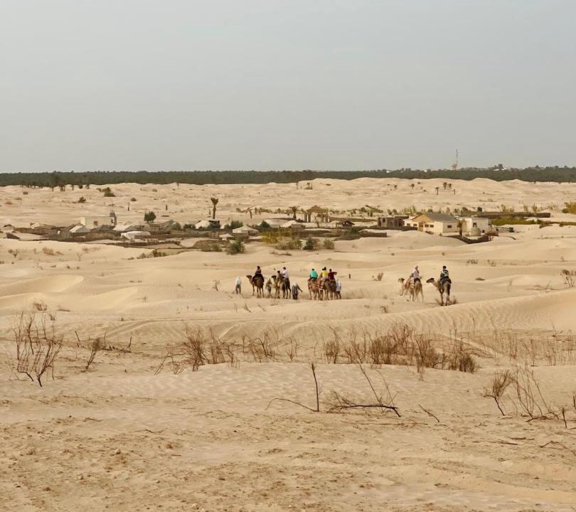 Photo of Others in El Faouar