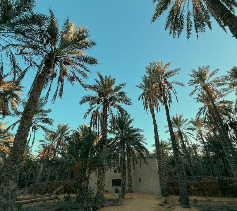 Photo of Outdoor in Tozeur