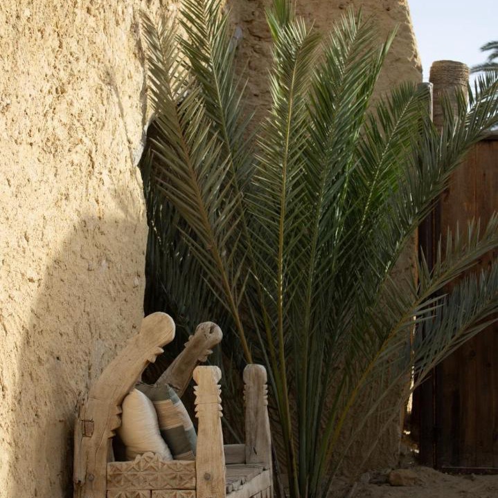 Photo of Others in Siwa