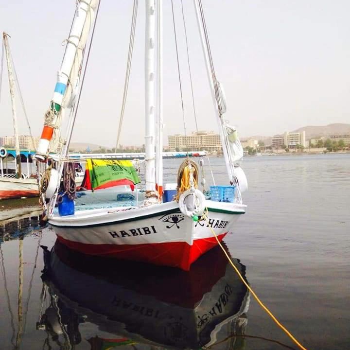 Photo of Others in Aswan