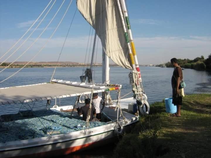 Photo of Others in Aswan