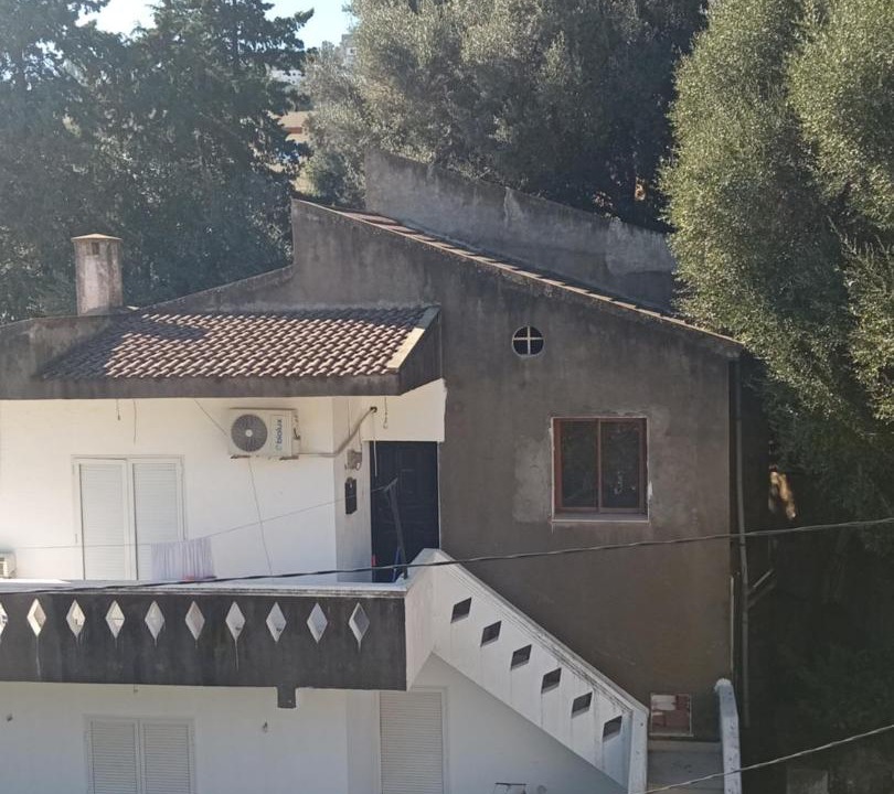 Photo of Others in Tabarka